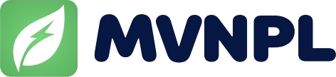 Maharashtra Vidhyut Nigam Private Limited